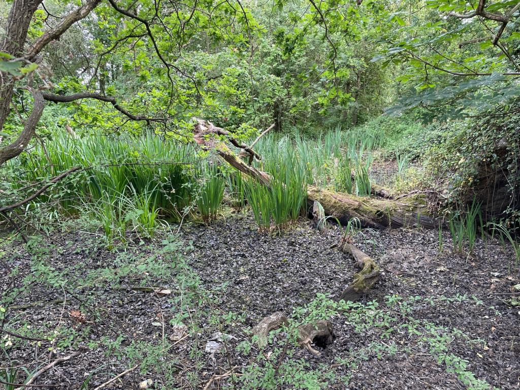 Lot: 27 - APPROX THREE ACRES OF FREEHOLD LAND - Pond on the land which is show on the location map